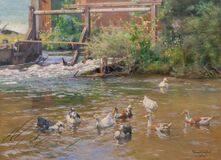 Das alte Wasser - Bild 1