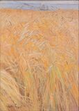Field near Holnis - image 1