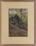 Rocks in the Taunus - image 2