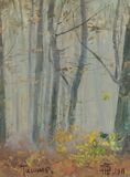 Misty forest in the Taunus - image 1