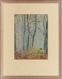 Misty forest in the Taunus - image 2