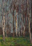 Birch Trees - image 1