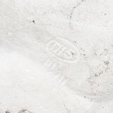 Weiblicher Hand-Torso - Bild 3