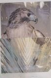 Nature from Tribute 21 - Bild 1