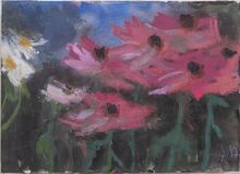 Margeriten und Gerbera - Bild 1