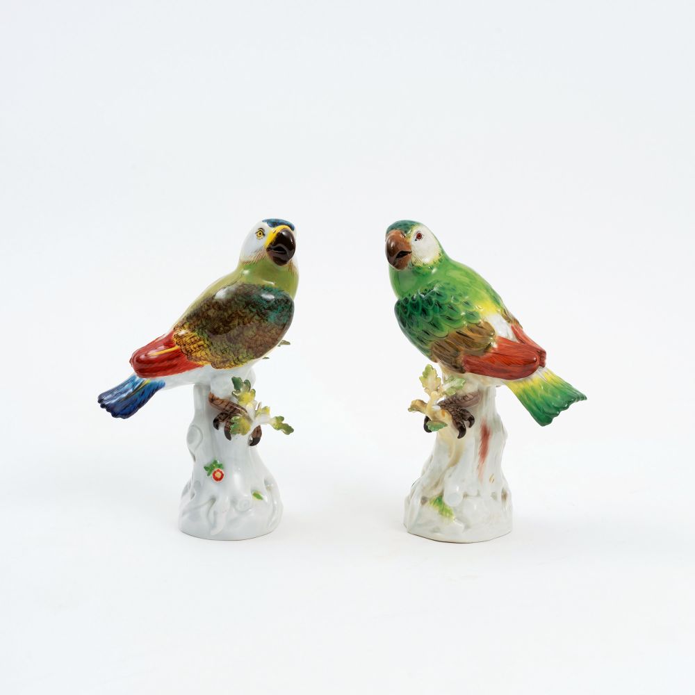 A Pair of Parrots on Trunk