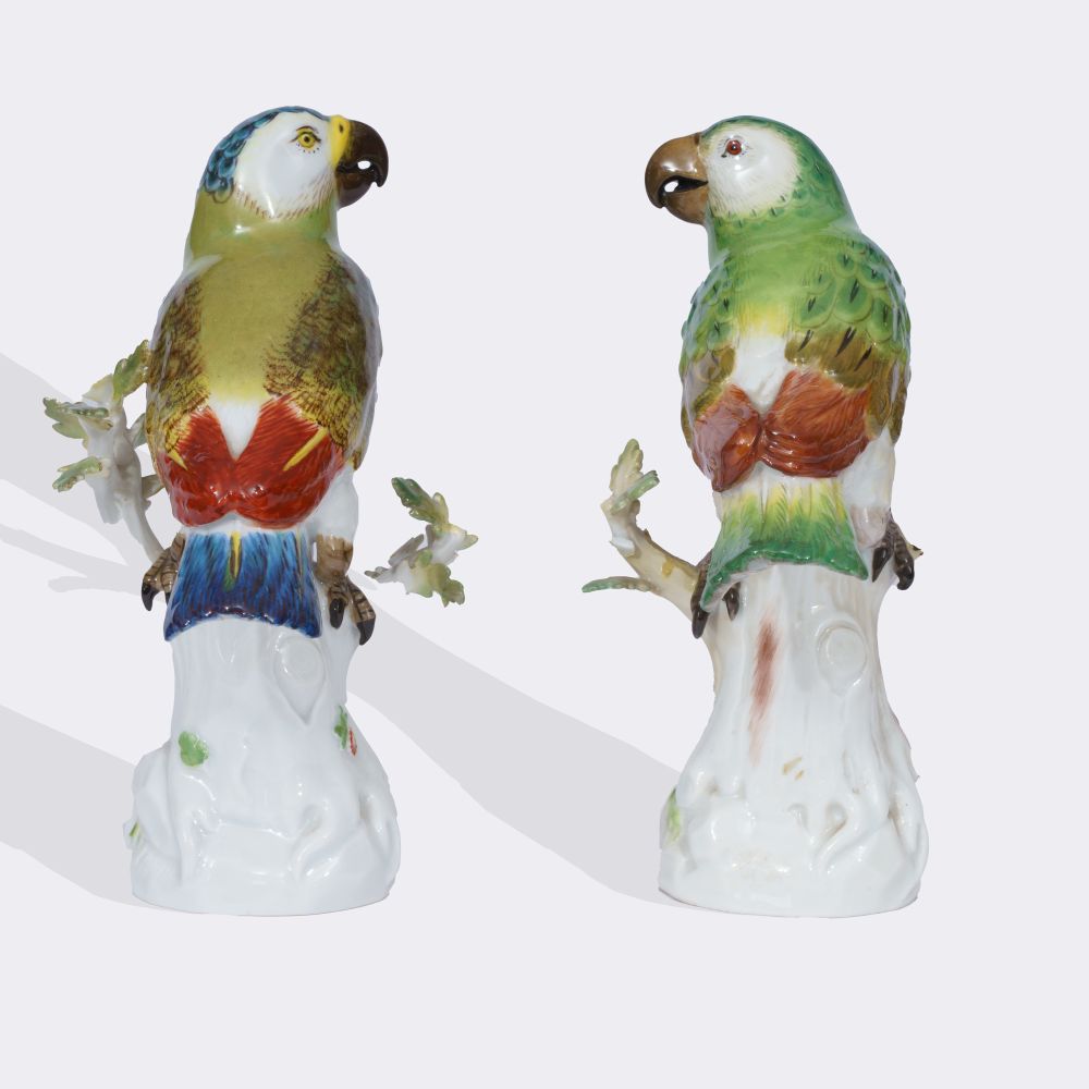A Pair of Parrots on Trunk - image 2