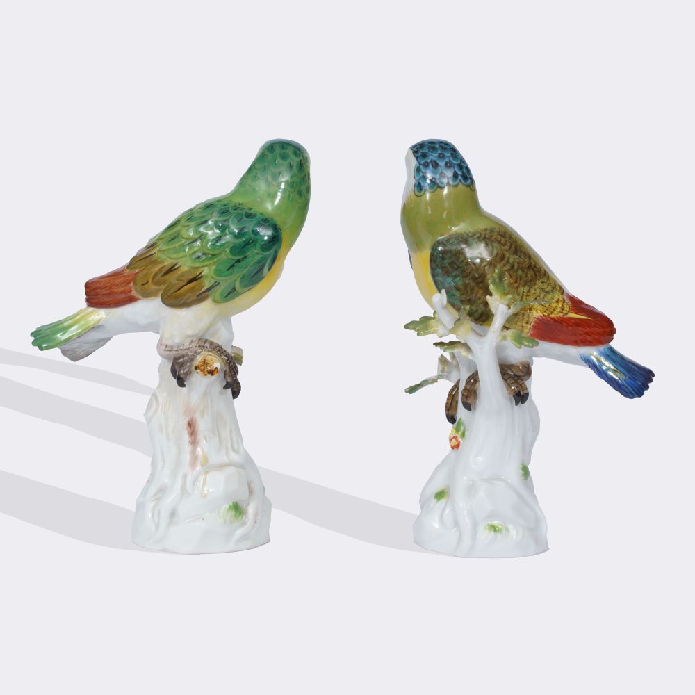 A Pair of Parrots on Trunk - image 4
