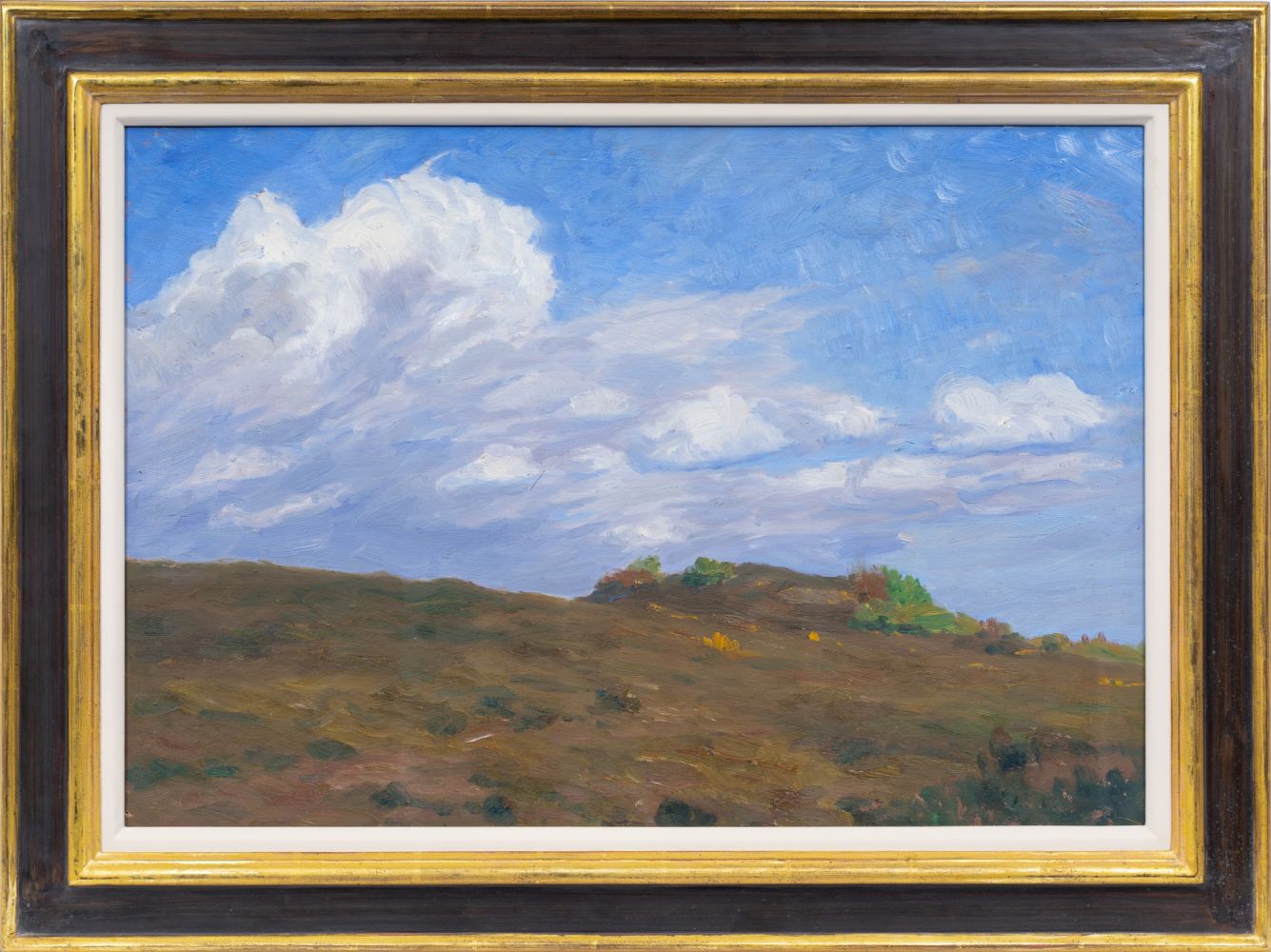 Große Wolke über dem Heidehügel - Bild 2