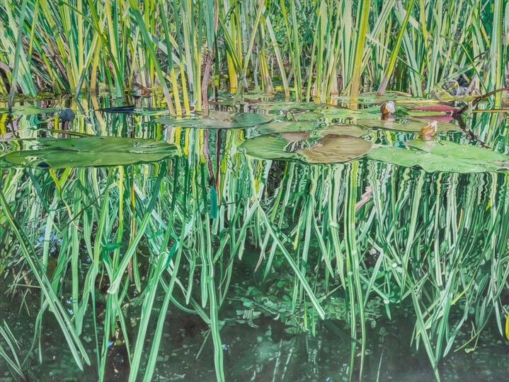 Stilles Grün - Quiet Green