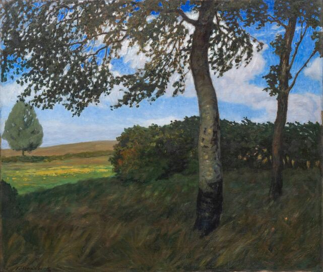 The Poplar - A Summer Brise