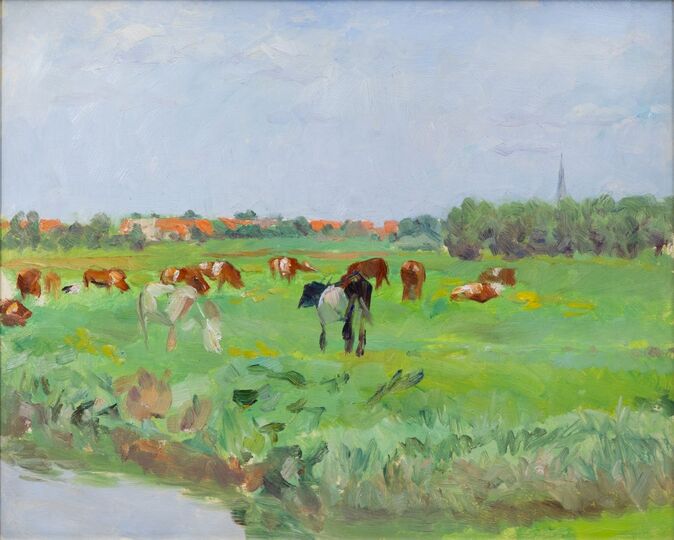 Weite Landschaft mit Kühen