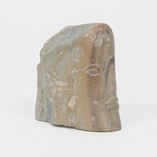 A Small Head in Profile