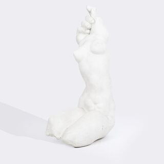 A Female Hand Torso