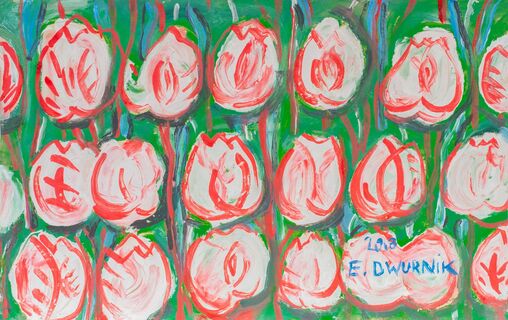 Weiß-rote Tulpen