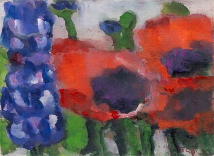 Mohn