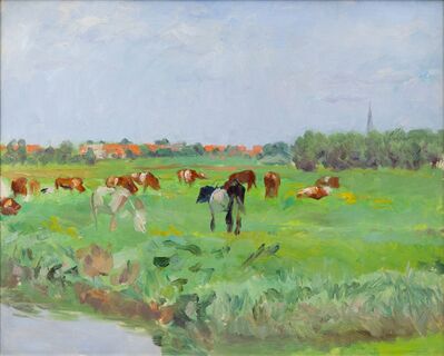 Weite Landschaft mit Kühen