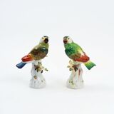 A Pair of Parrots on Trunk - image 1