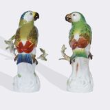 A Pair of Parrots on Trunk - image 2