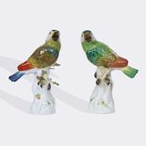 A Pair of Parrots on Trunk - image 3