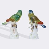 A Pair of Parrots on Trunk - image 4
