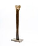 A Large Standing Female Nude