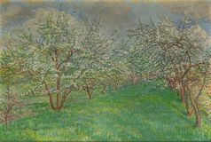 Blühende Obstbäume - Bild 1
