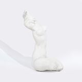A Female Hand Torso - image 2