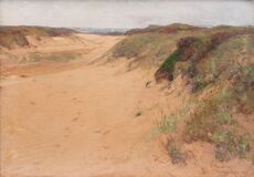 Klintumer Heide - Bild 1