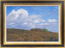 Große Wolke über dem Heidehügel - Bild 2