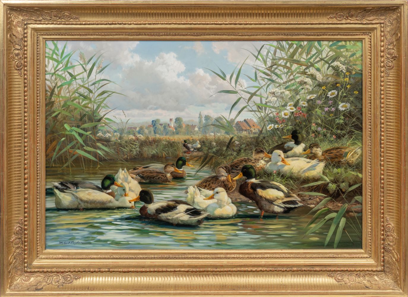 Enten auf dem Weiher - Bild 2