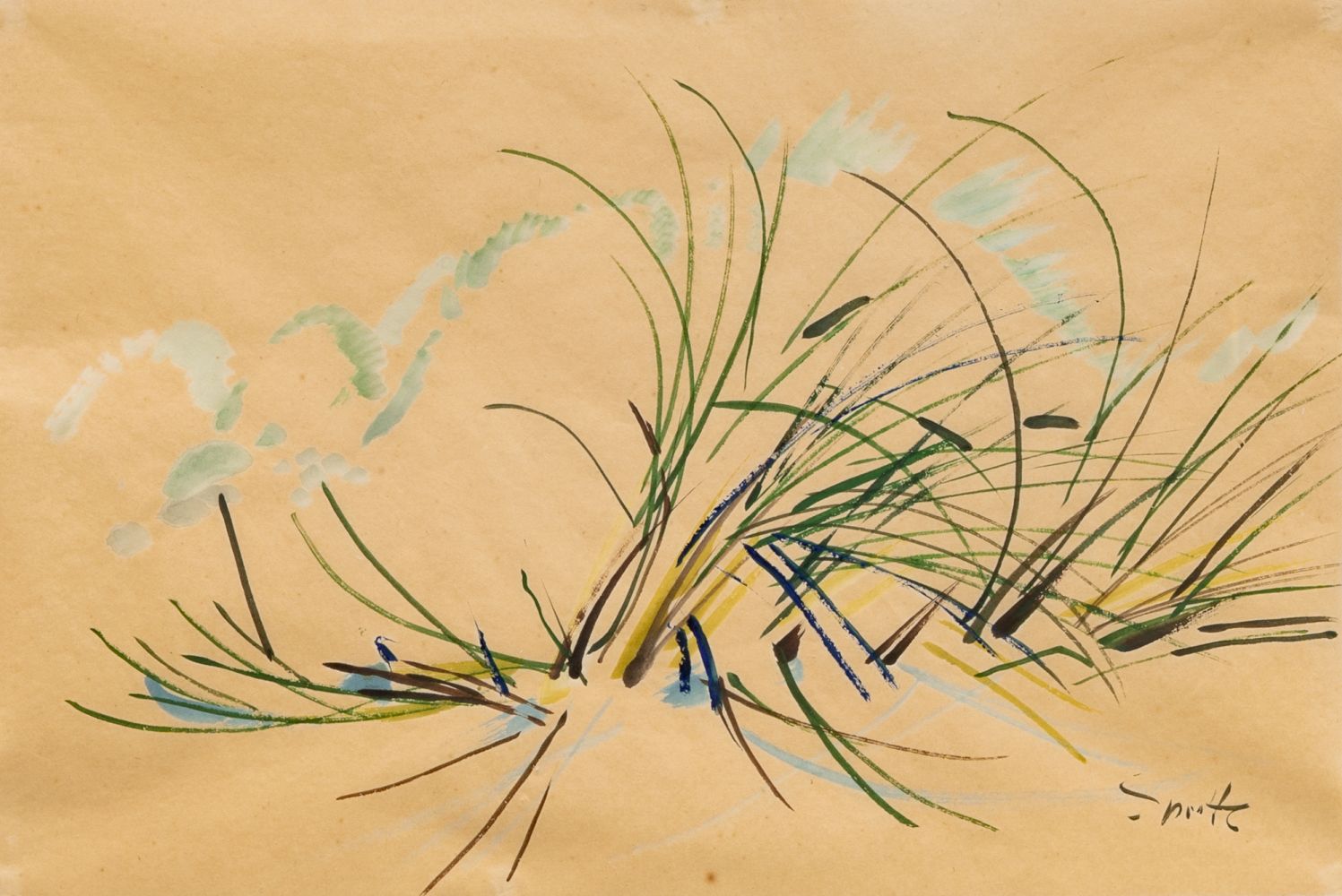 Dunes and Grasses