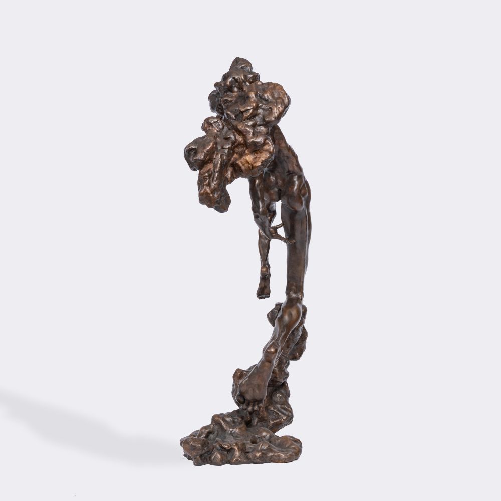 Icarus in the clouds - image 3