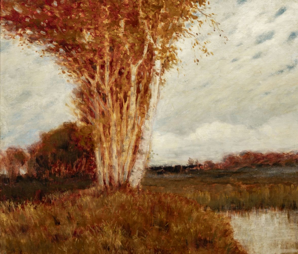 Swamp near Worpswede