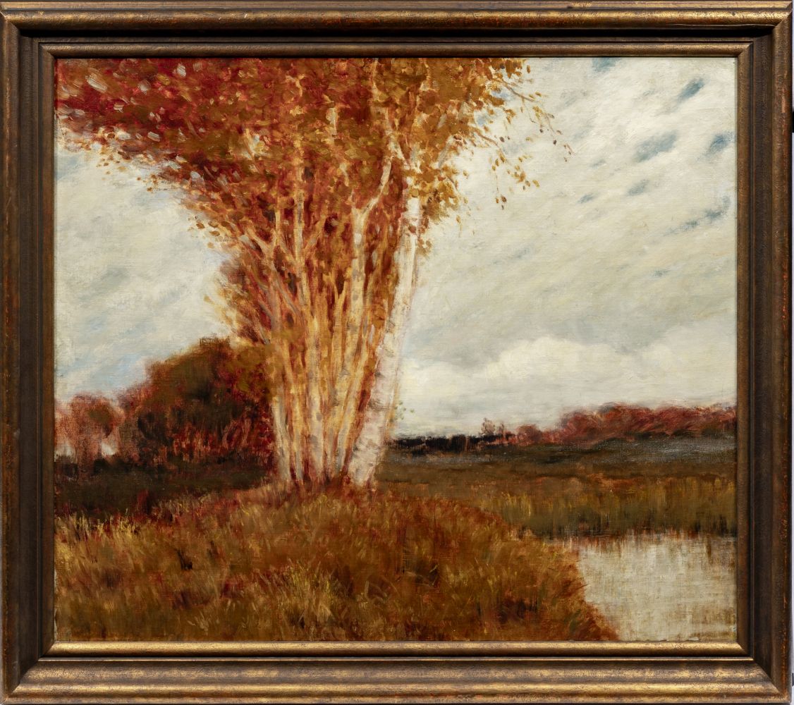 Swamp near Worpswede - image 2