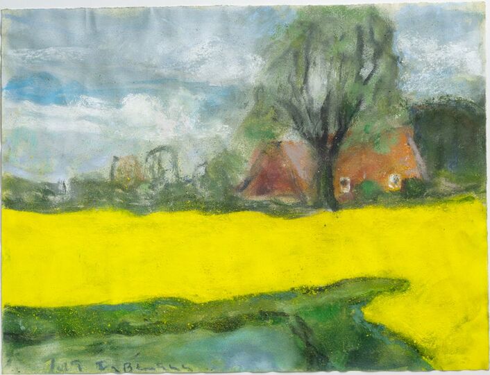 Rapeseed near Lübeck