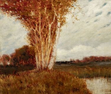 Swamp near Worpswede