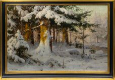 Winterwald in der Morgensonne - Bild 2