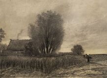 Near Ahrenshoop - image 1