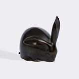 An Eating Bunny - image 1