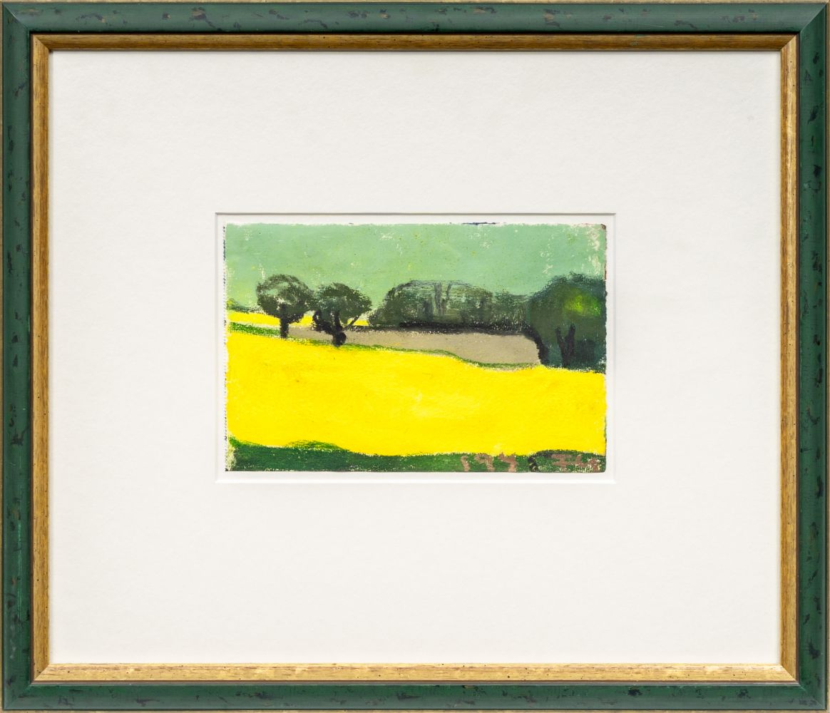 Blühender Raps - Bild 2