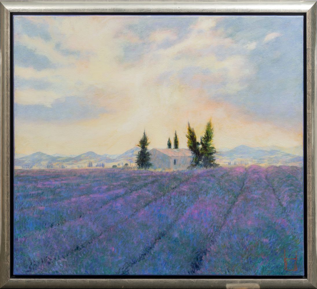 Lavendel am Abend - Bild 2