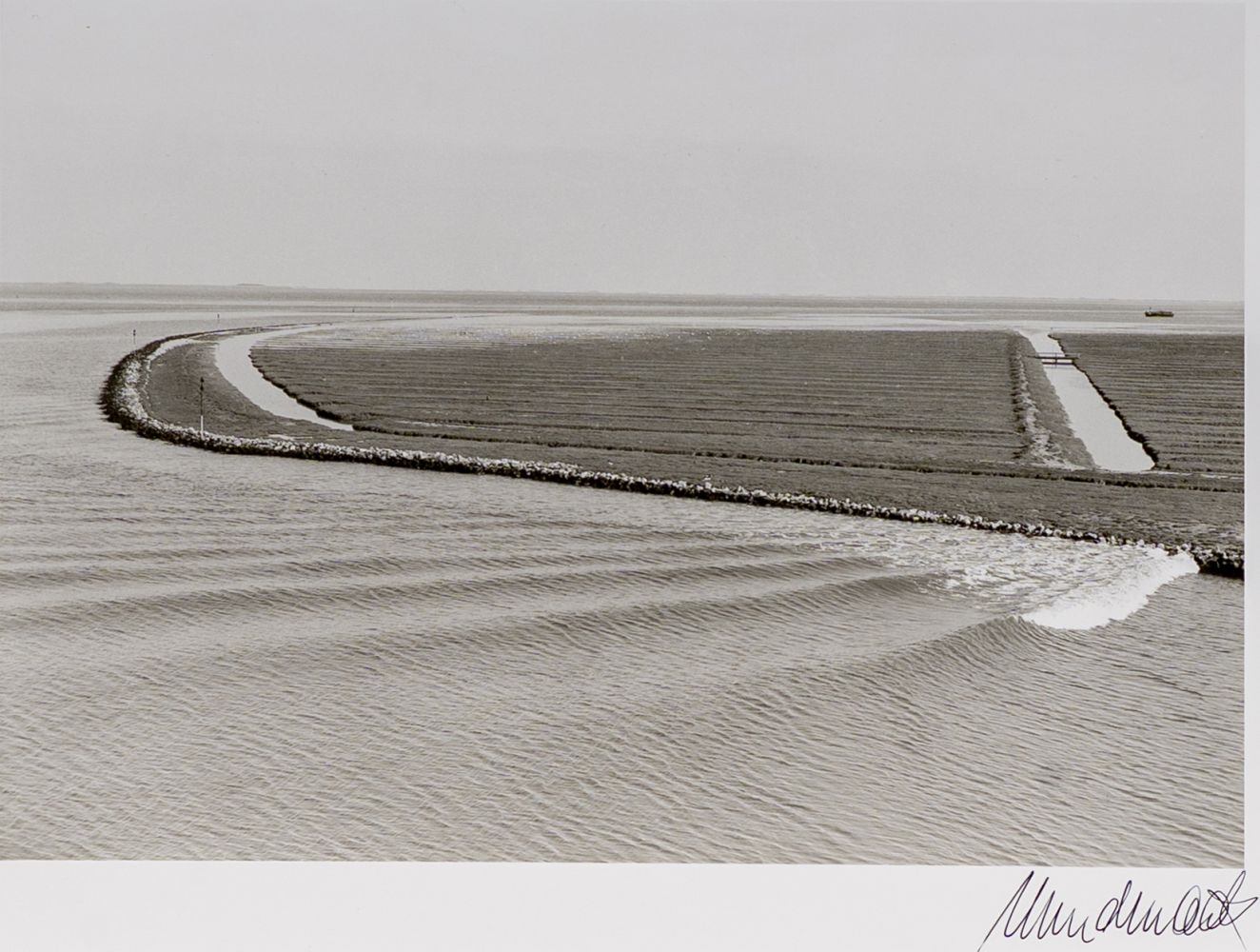 Zen - Landschaft Pellworm