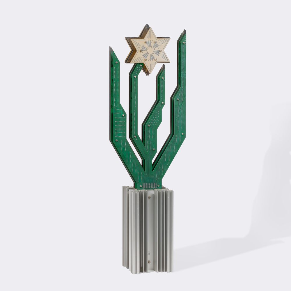 A Hybrid Cactus Flower