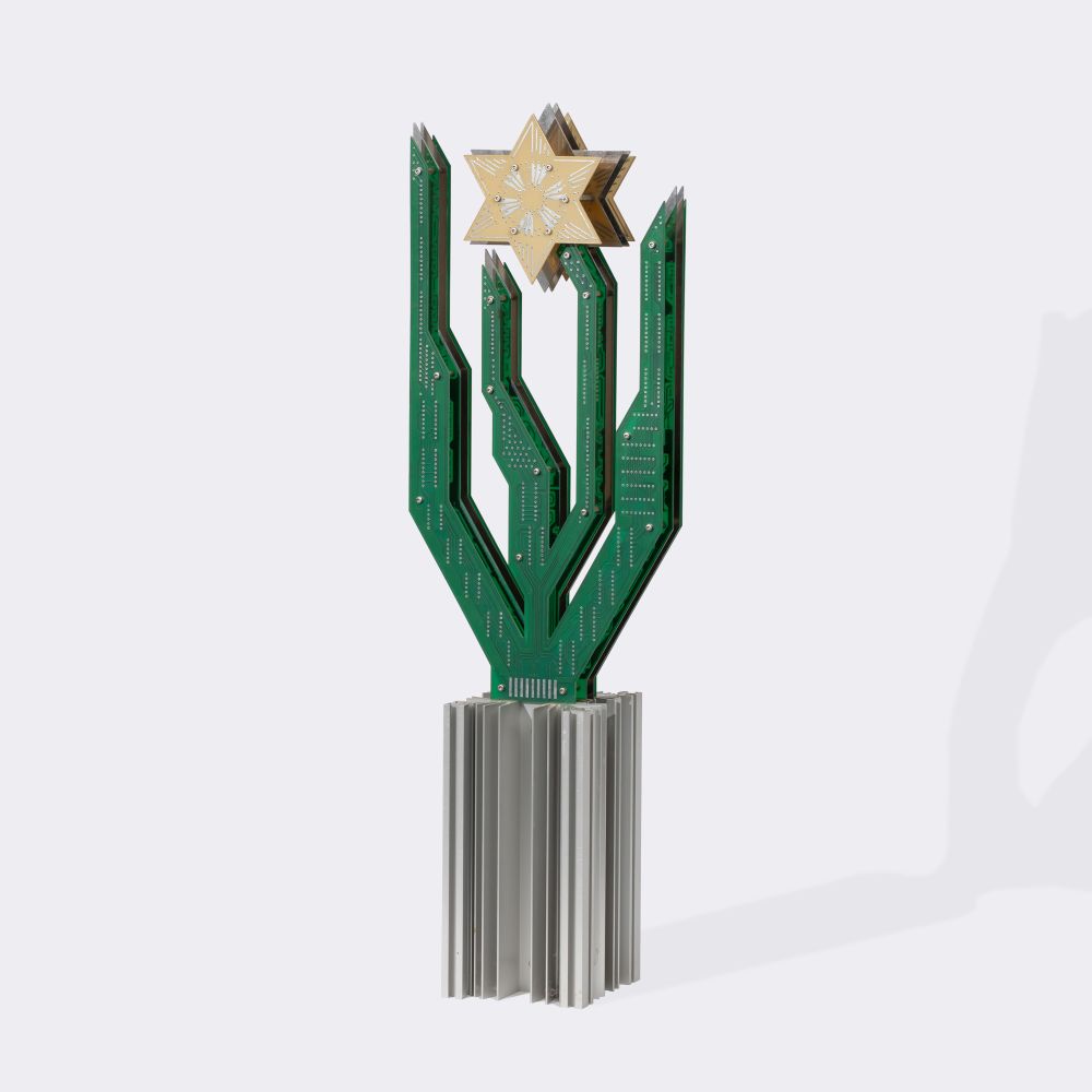 A Hybrid Cactus Flower - image 3