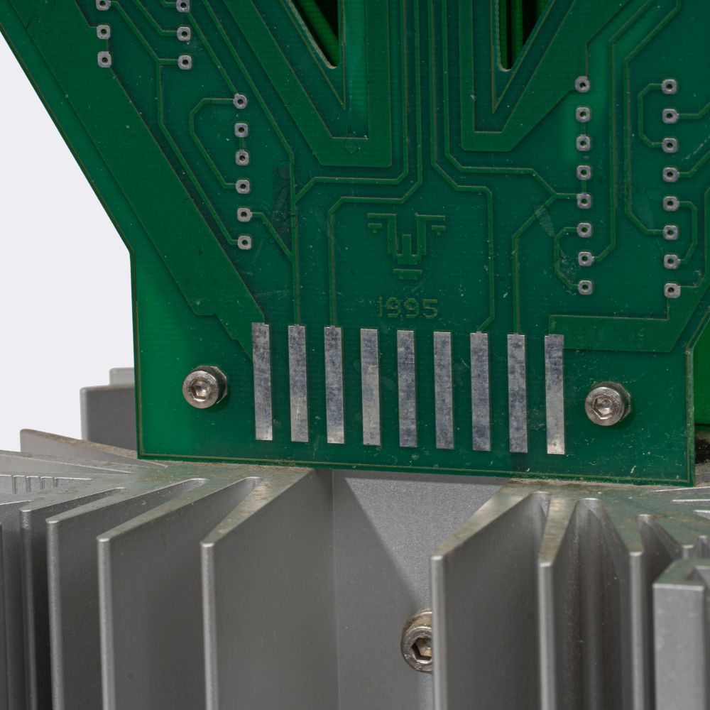 A Hybrid Cactus Flower - image 4