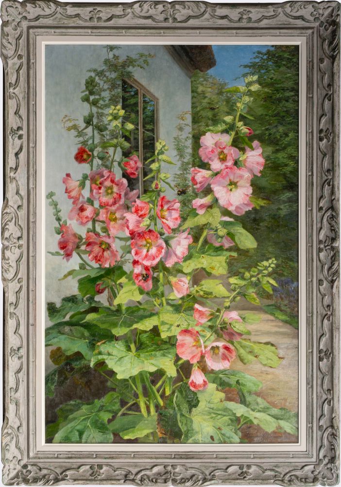 Rosa Stockrosen - Bild 2