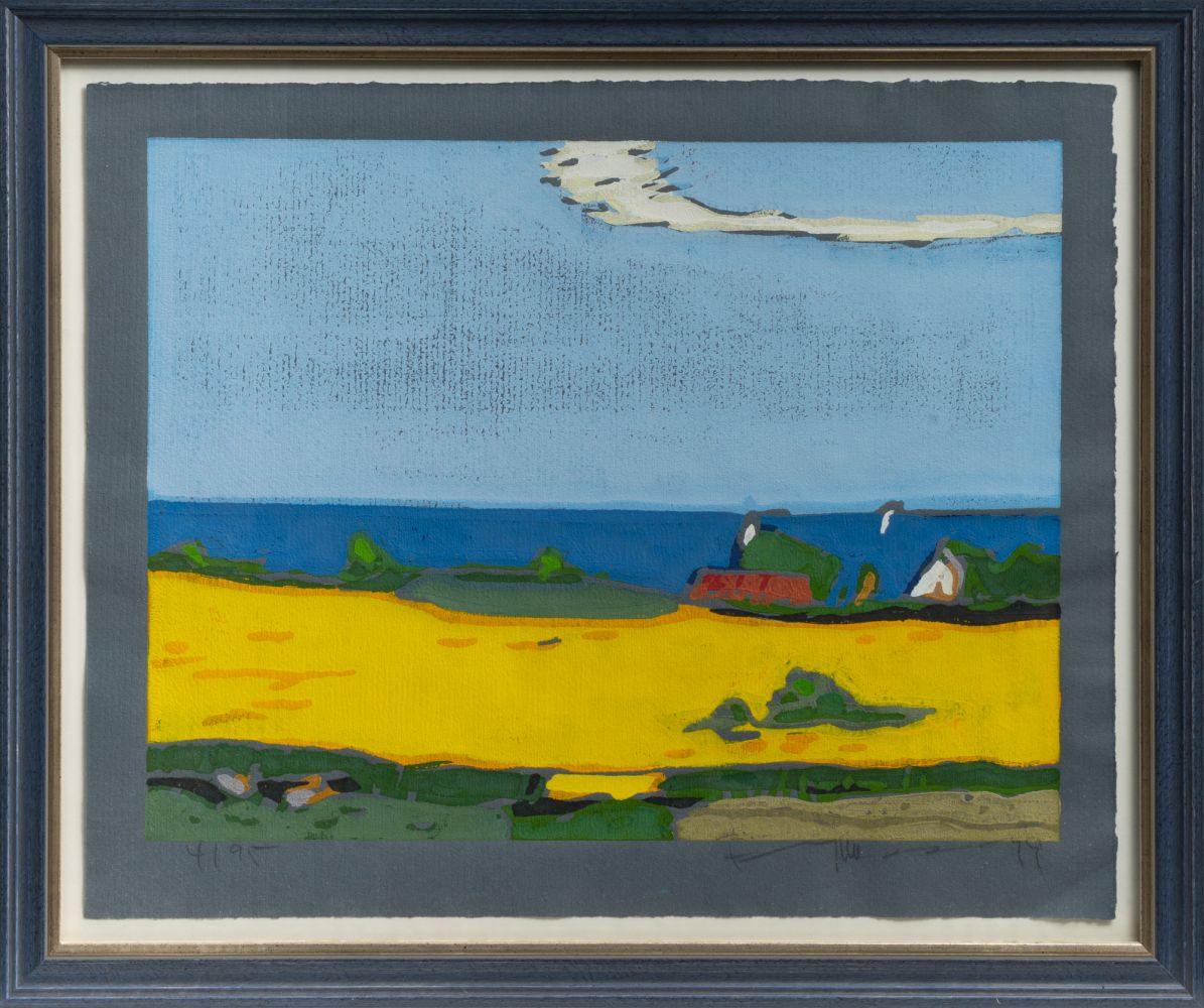 Raps vor Ostsee bei Ohrfeldhaff - Bild 2