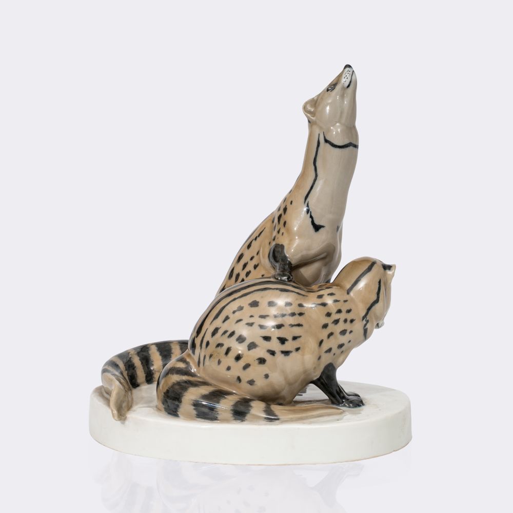 Zwei Zibetkatzen - Bild 2