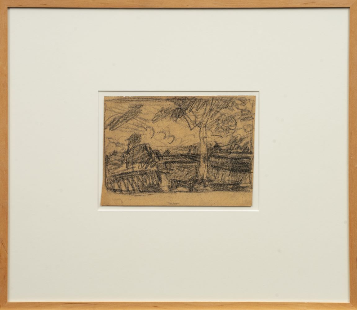 Sturm im Moor - Bild 2